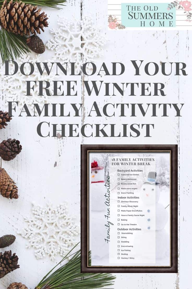 Download Your FREE Winter Family Activity Checklist