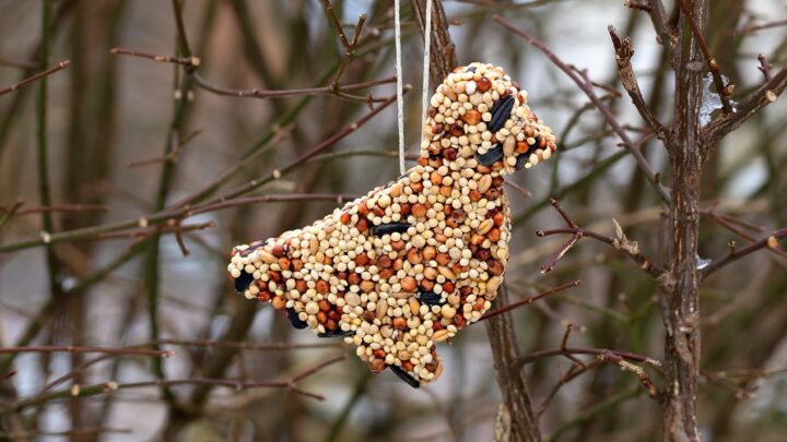 12 Easy DIY Bird Feeders to Make Today 5 Birdseed Feeders The Old Summers Home Creating a space that's inviting to birds isn't hard to do. Simply provide food and the birds will come. Make one of these 12 easy DIY bird feeders today!