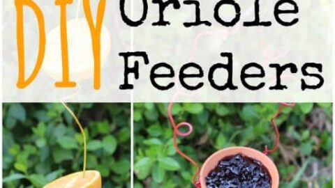 12 Easy DIY Bird Feeders to Make Today 4 DIY Oriole Feeders 512x1024 1 The Old Summers Home Creating your own home decor gives you the opportunity to add your own personal touch. Check out our Decor and DIY Tutorials to help get you started!