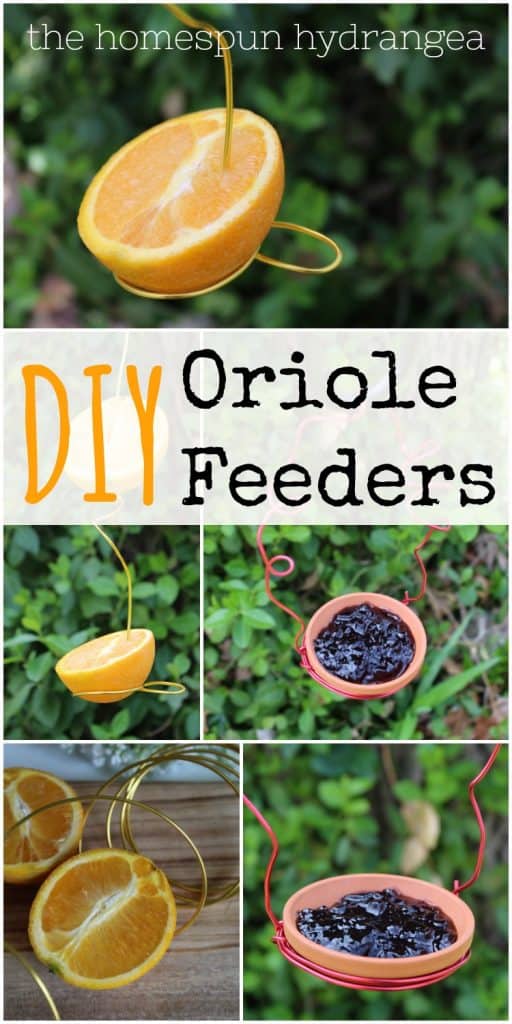 DIY-Oriole-Feeders-512×1024-1.jpg