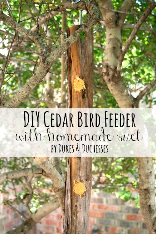 DIY-cedar-bird-feeder-with-homemade-suet.jpg