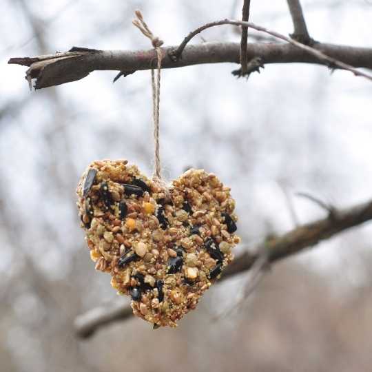 easy diy bird feeders