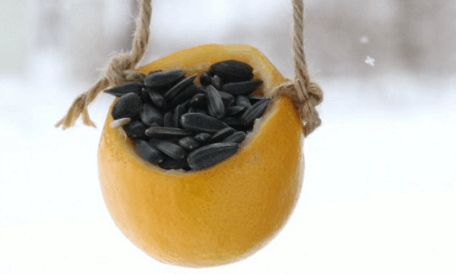 simple-bird-feeder.png