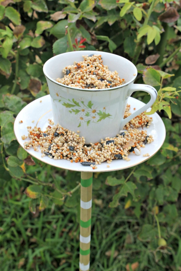 teacup-bird-feeders-6.jpgfit6002c900ssl1