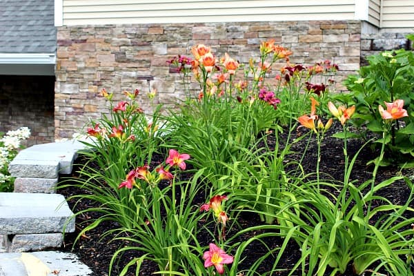 Beautiful Landscaping Ideas for Front of House 2 daylilies care The Old Summers Home We've gathered up loads of simple landscaping ideas to inspire and motivate you. Dust off your work gloves because you're going to want to implement several