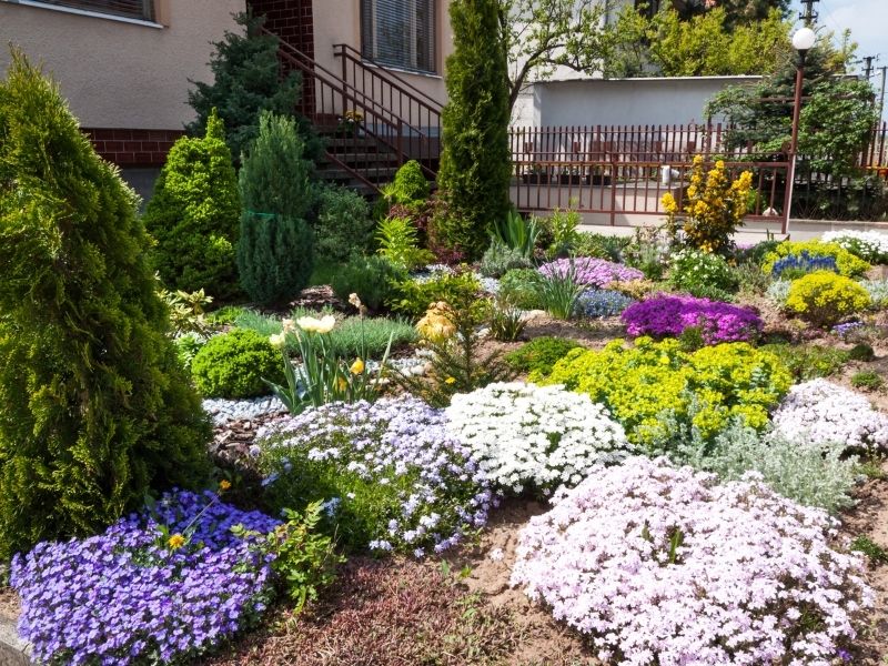 front yard